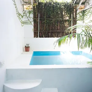https://calaila-premium-plunge-pool-villas.kerala-hotels.net